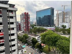Blk 467 Crawford Court (Kallang/Whampoa), HDB 3 Rooms #453683271